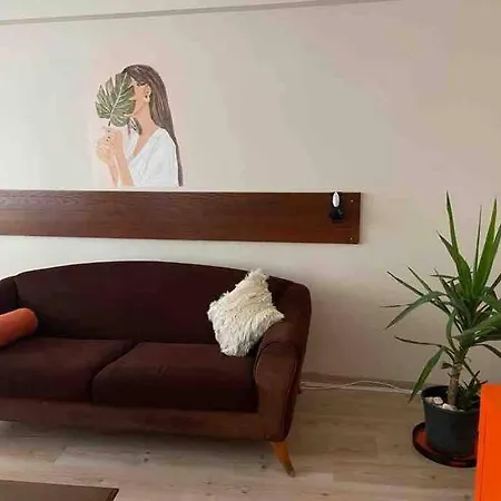 Ferah Ve Sik Cosy